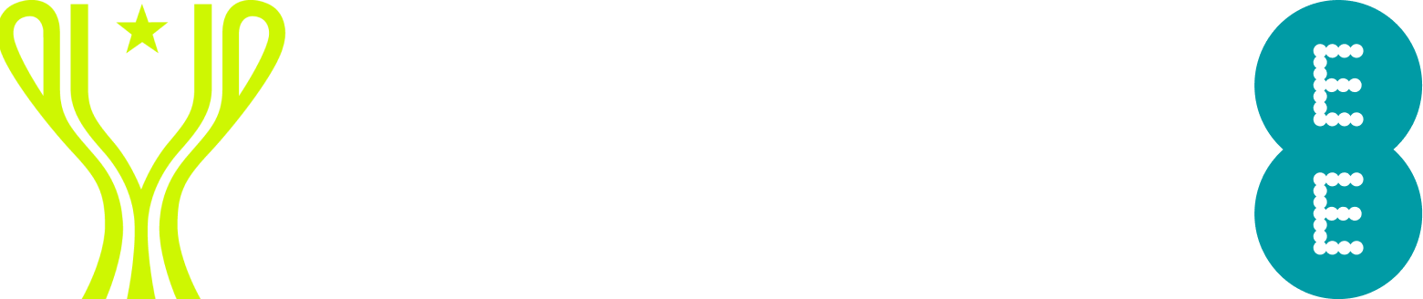 FA disability cup logo